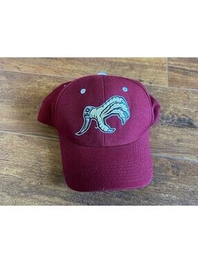 Zephyr SC Gamecocks “Cocks” The Hat Maroon and White Baseball Cap Size 7 1/2